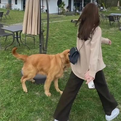 选美皇后的倒带人生